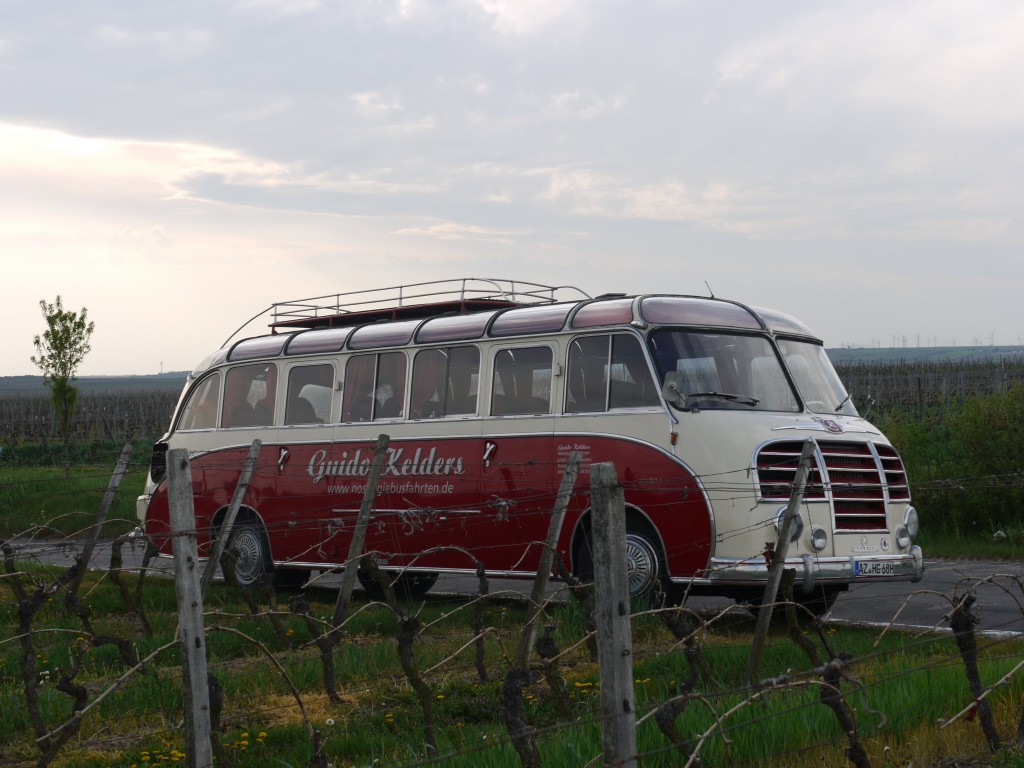 Setra S 8 05 in den Weinbergen